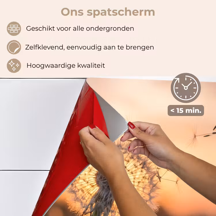 Paardenbloem - Zonsondergang - Veld keuken achterwand spatscherm klein -spatscherm_NL