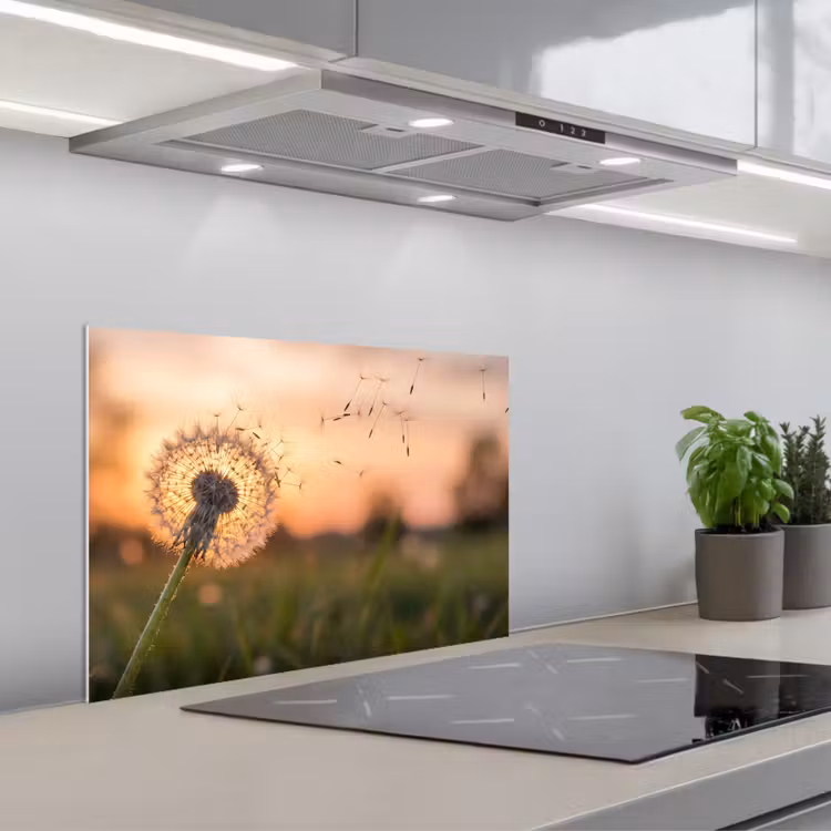 Paardenbloem - Zonsondergang - Veld keuken achterwand spatscherm klein -3d_schuin