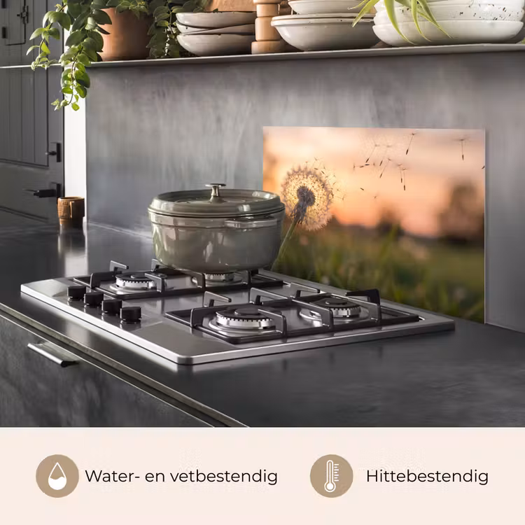 Paardenbloem - Zonsondergang - Veld keuken achterwand spatscherm klein -usp_NL