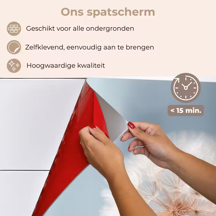 Paardenbloemen - Pluisjes - Wit keuken achterwand spatscherm klein -spatscherm_NL