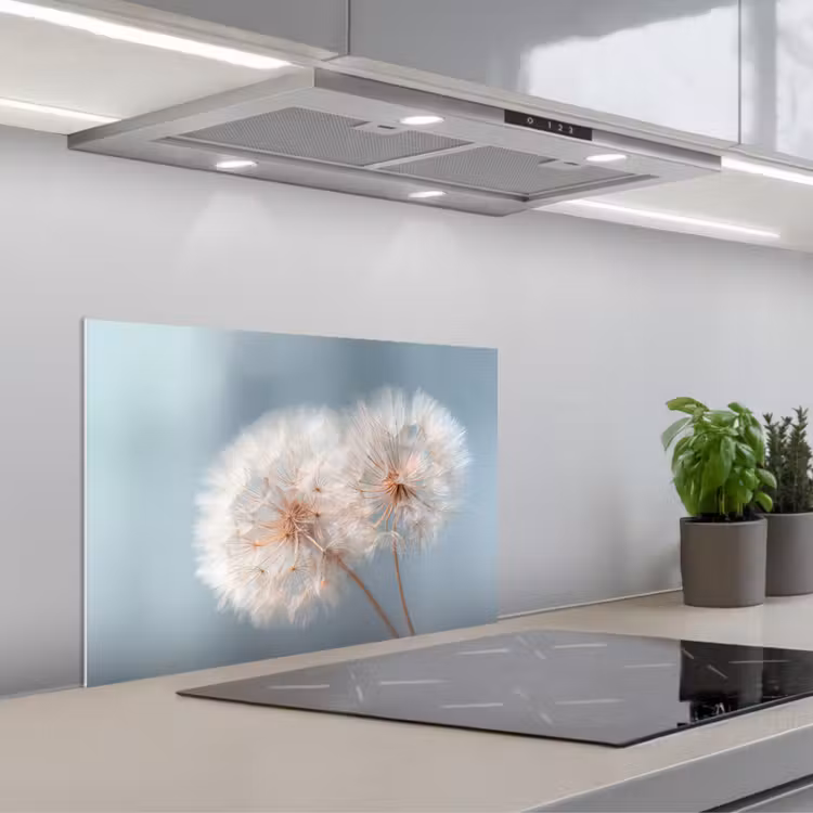 Paardenbloemen - Pluisjes - Wit keuken achterwand spatscherm klein -3d_schuin