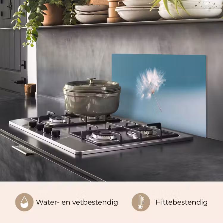 Paardenbloempluisje - Blauw - Lucht keuken achterwand spatscherm klein -usp_NL