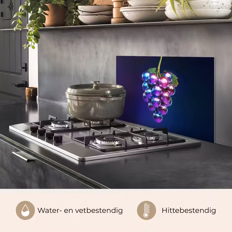 Paars - Disco - Feest - Druif keuken achterwand spatscherm klein -usp_NL