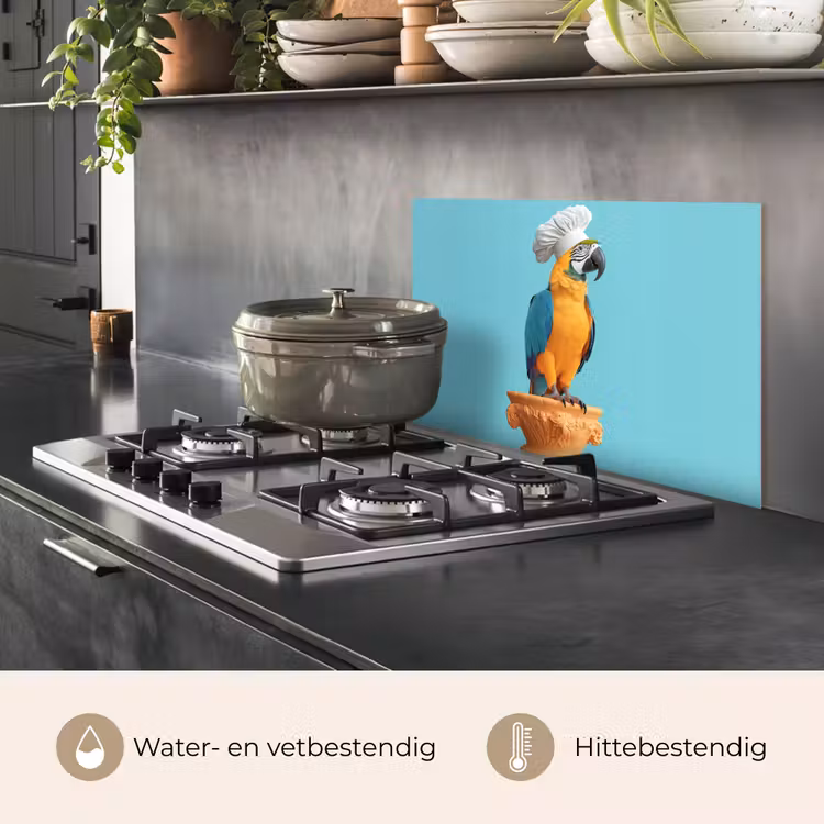 Papegaai - Koksmuts - Grappig - Vogel keuken achterwand spatscherm klein -usp_NL