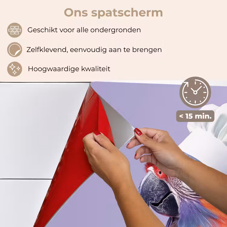 Papegaai - Koksmuts - Paars - Cute keuken achterwand spatscherm klein -spatscherm_NL