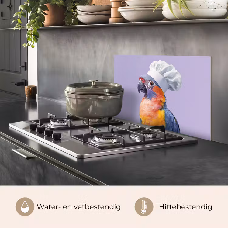 Papegaai - Koksmuts - Paars - Cute keuken achterwand spatscherm klein -usp_NL