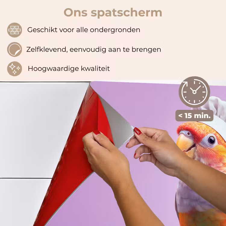 Papegaai - Koksmuts - Pilaar - Vogel keuken achterwand spatscherm klein -spatscherm_NL