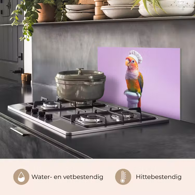 Papegaai - Koksmuts - Pilaar - Vogel keuken achterwand spatscherm klein -usp_NL