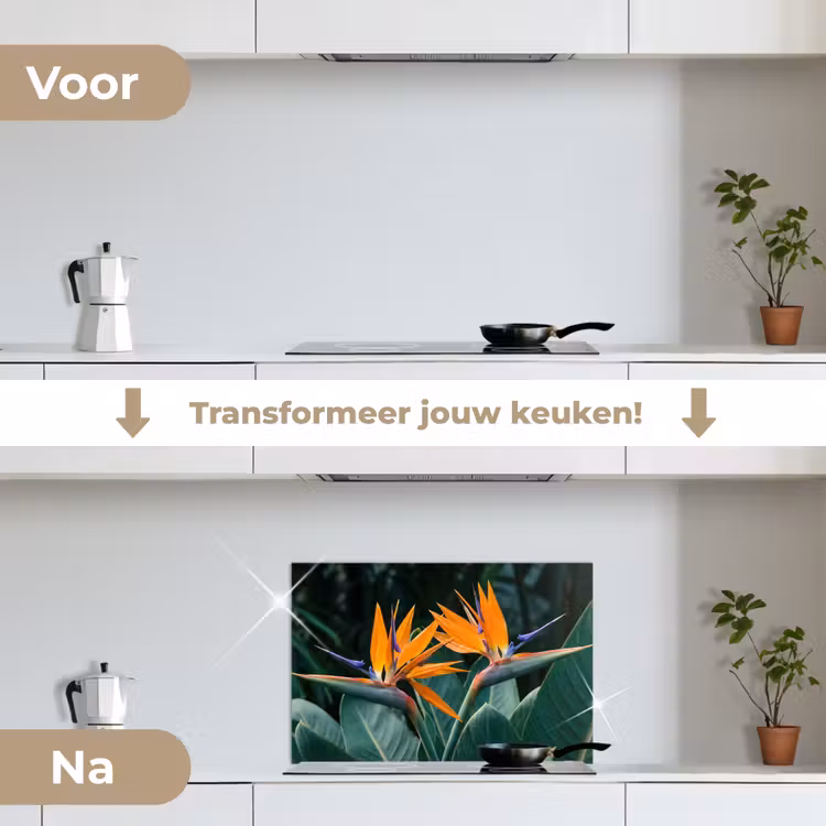 Paradijsvogel - Bloem - Exotisch keuken achterwand spatscherm klein -voor_na_NL
