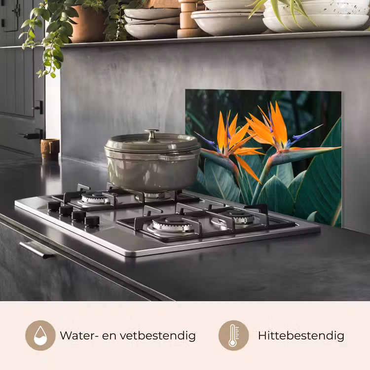 Paradijsvogel - Bloem - Exotisch keuken achterwand spatscherm klein -usp_NL