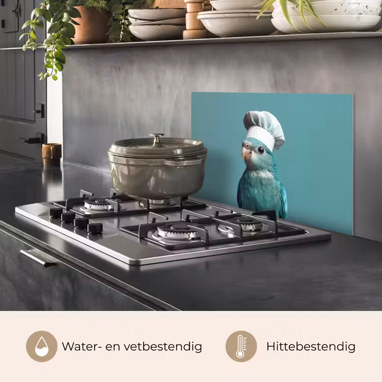 Parkiet - Vogel - Koksmuts - Cute keuken achterwand spatscherm klein -usp_NL