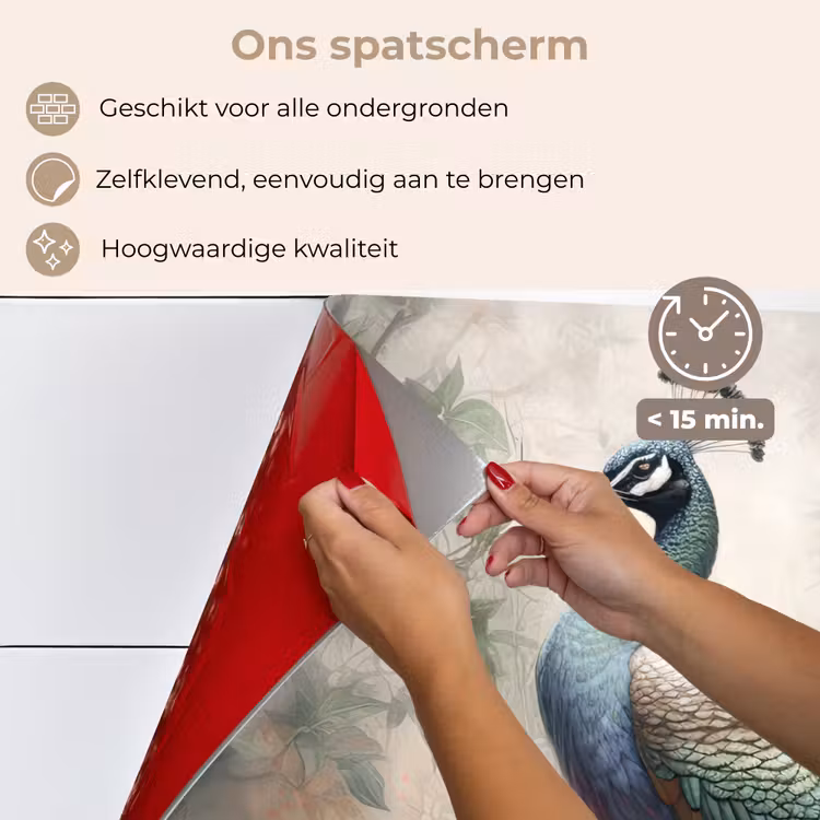 Pauw - Pauwenveren - Vogel - Jungle - Bloemen keuken achterwand spatscherm klein -spatscherm_NL