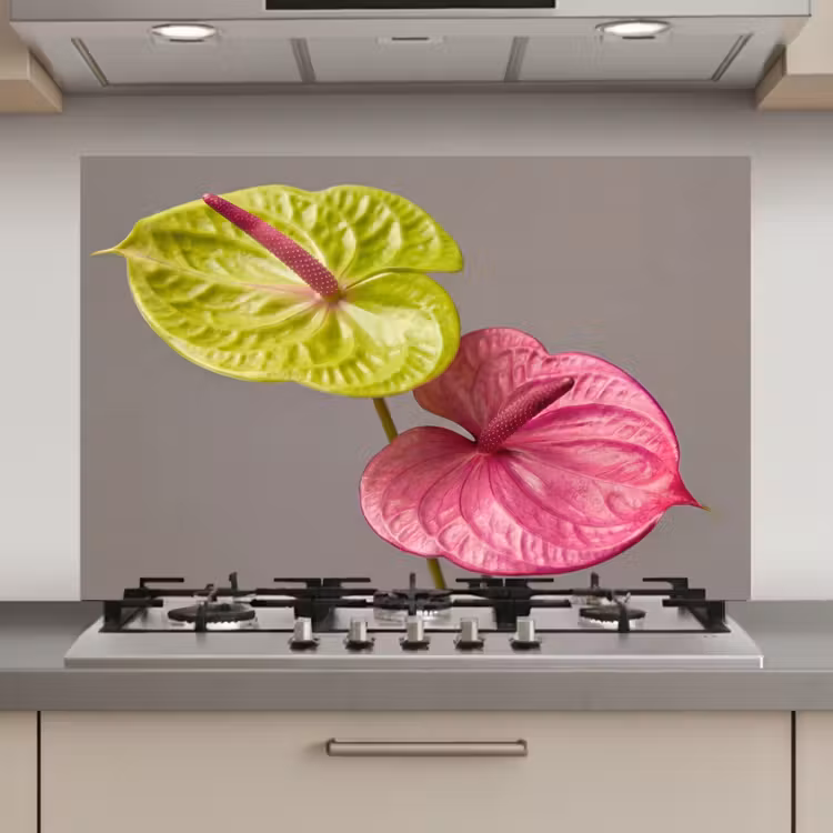 Planten - Anthurium - Groen - Roze keuken achterwand spatscherm klein -3d_website