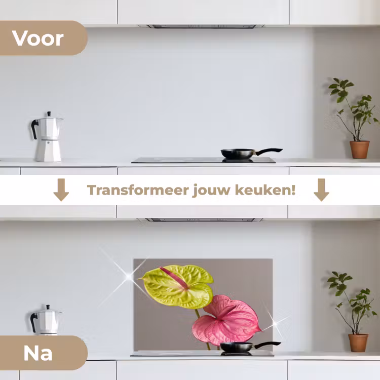 Planten - Anthurium - Groen - Roze keuken achterwand spatscherm klein -voor_na_NL