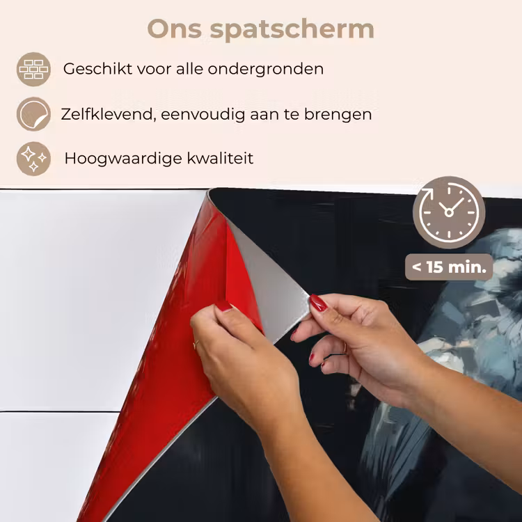 Raaf - Vogels - Zwart keuken achterwand spatscherm klein -spatscherm_NL