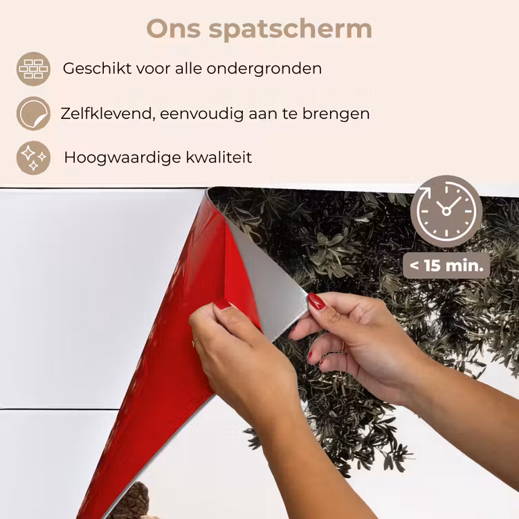 Rotsen - Zee - Boom - Groen keuken achterwand spatscherm klein -spatscherm_NL
