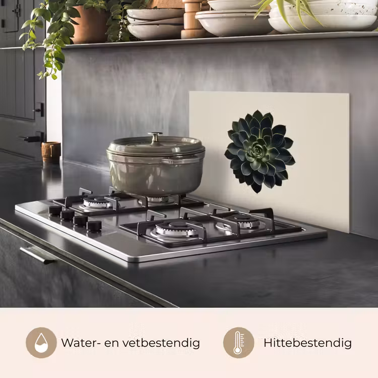 Rozet - Cirkelvormig - Donkergroen keuken achterwand spatscherm klein -usp_NL