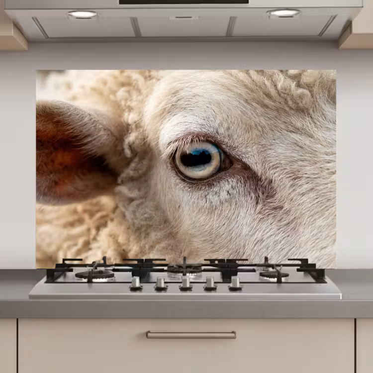 Schaap - Oog - Wit keuken achterwand spatscherm klein -3d_website