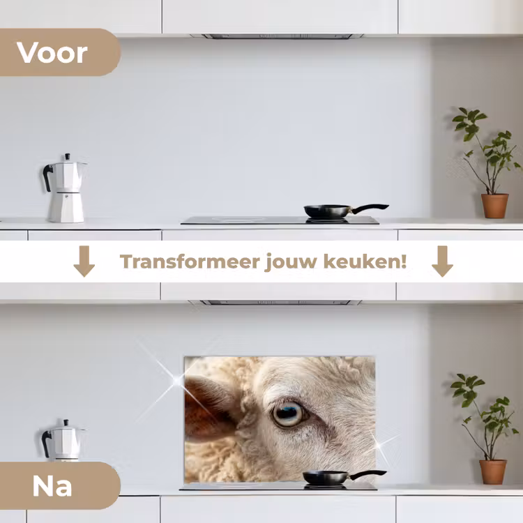 Schaap - Oog - Wit keuken achterwand spatscherm klein -voor_na_NL