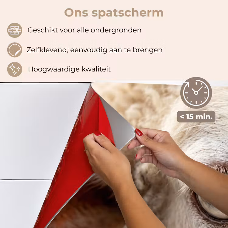 Schaap - Oog - Wit keuken achterwand spatscherm klein -spatscherm_NL