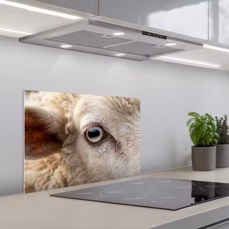 Schaap - Oog - Wit keuken achterwand spatscherm klein -3d_schuin