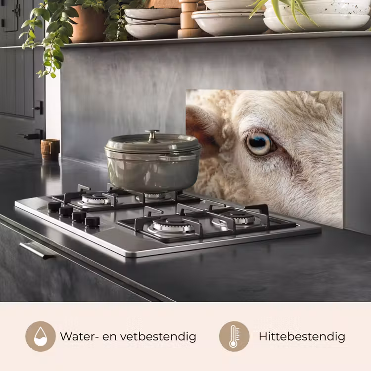 Schaap - Oog - Wit keuken achterwand spatscherm klein -usp_NL