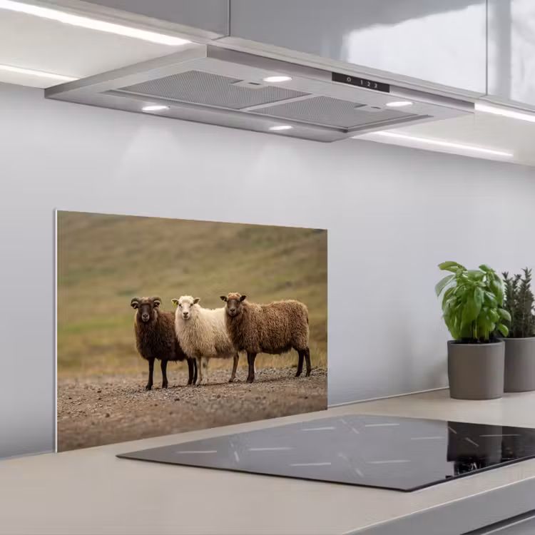 Schapen - Bruin - Wit - Grindpad keuken achterwand spatscherm klein -3d_schuin