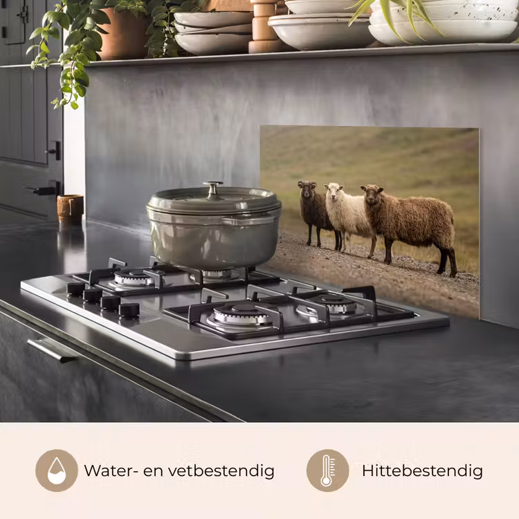 Schapen - Bruin - Wit - Grindpad keuken achterwand spatscherm klein -usp_NL