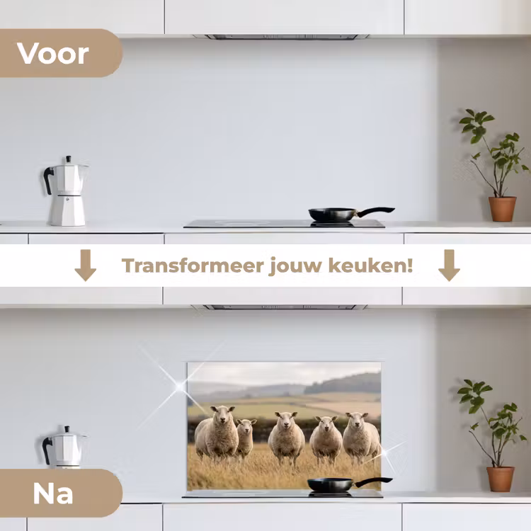 Schapen - Weidenlandschap - Heuvels keuken achterwand spatscherm klein -voor_na_NL