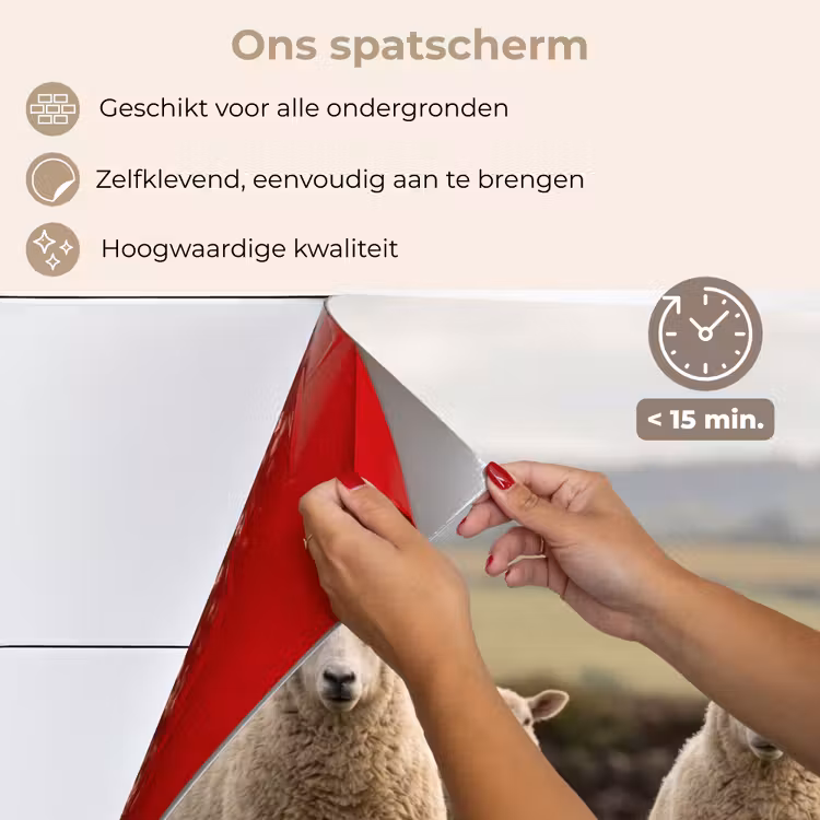Schapen - Weidenlandschap - Heuvels keuken achterwand spatscherm klein -spatscherm_NL