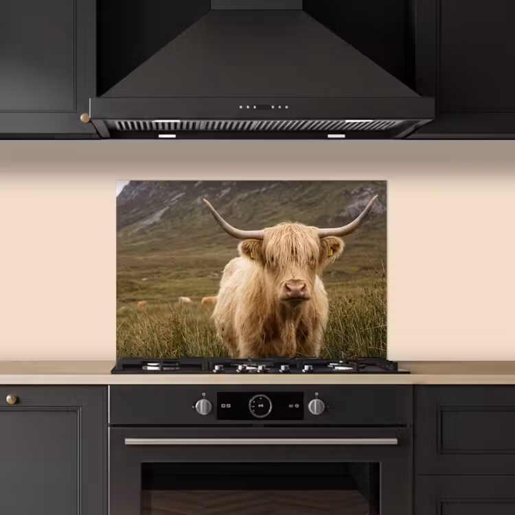 Schotse hooglander - Bergen - Grasveld keuken achterwand spatscherm klein -sfeer1