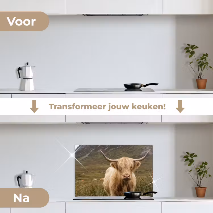 Schotse hooglander - Bergen - Grasveld keuken achterwand spatscherm klein -voor_na_NL