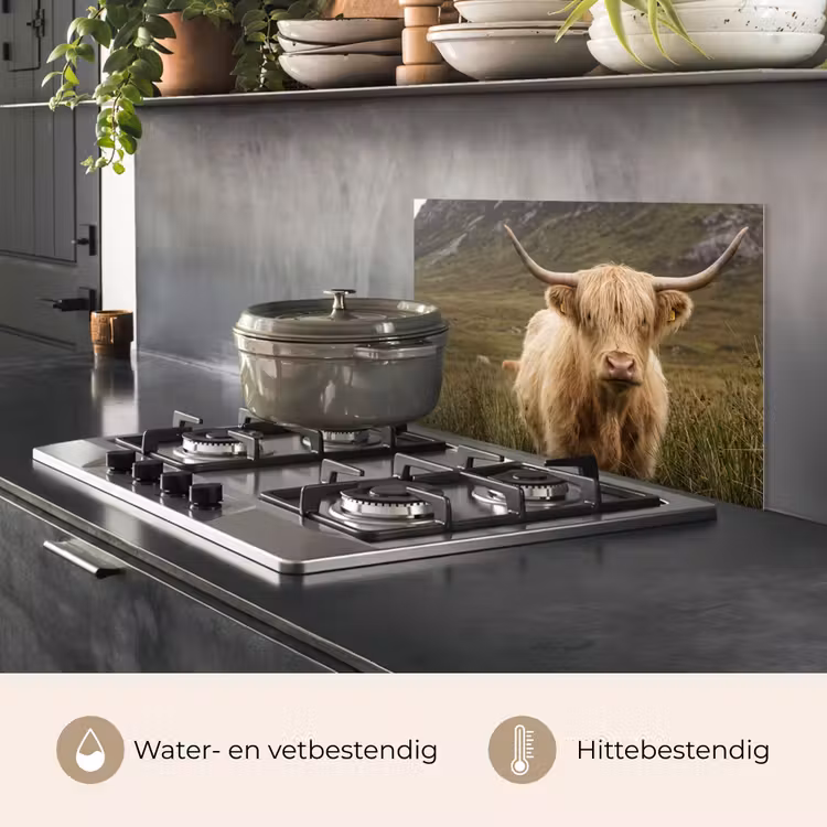 Schotse hooglander - Bergen - Grasveld keuken achterwand spatscherm klein -usp_NL