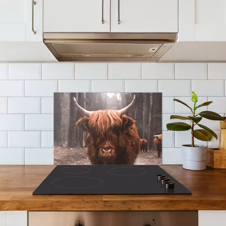 Schotse hooglander - Bos - Koe - Dieren - Natuur keuken achterwand spatscherm klein -sfeer2
