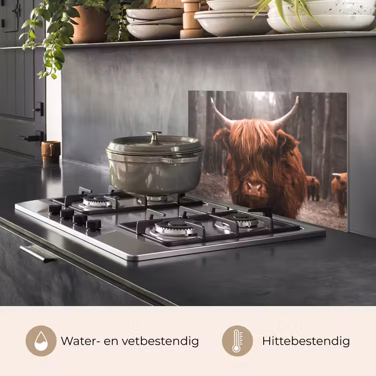 Schotse hooglander - Bos - Koe - Dieren - Natuur keuken achterwand spatscherm klein -usp_NL