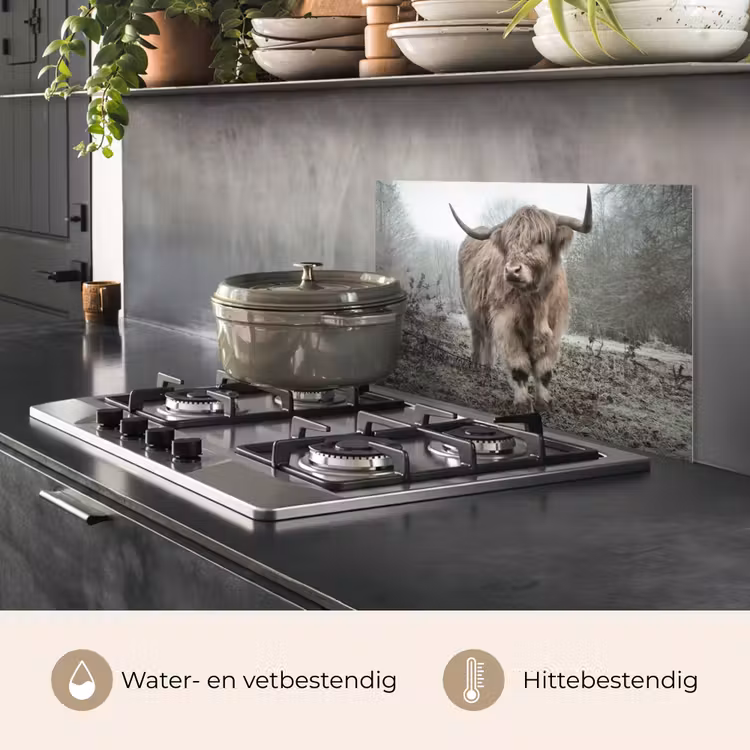Schotse Hooglander - Bos - Mist - Koe - Dieren - Natuur keuken achterwand spatscherm klein -usp_NL