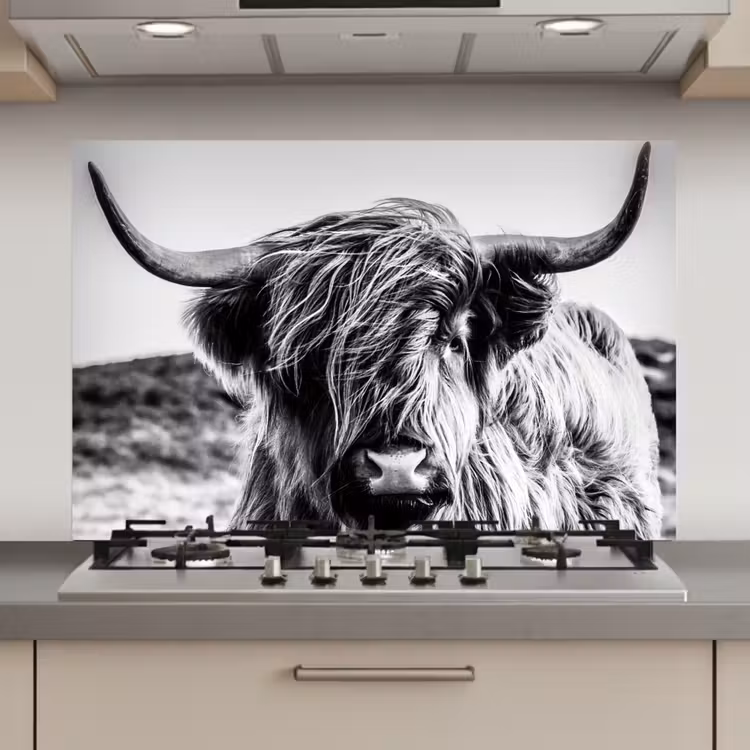 Schotse hooglander - Close up - Horens - Vacht - Zwart Wit keuken achterwand spatscherm klein -3d_website
