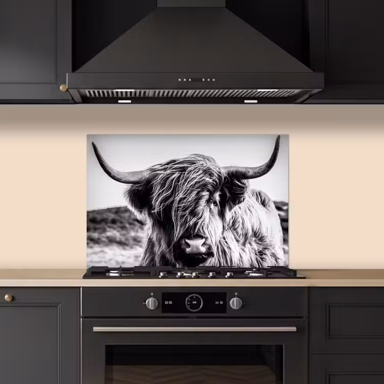 Schotse hooglander - Close up - Horens - Vacht - Zwart Wit keuken achterwand spatscherm klein -sfeer1