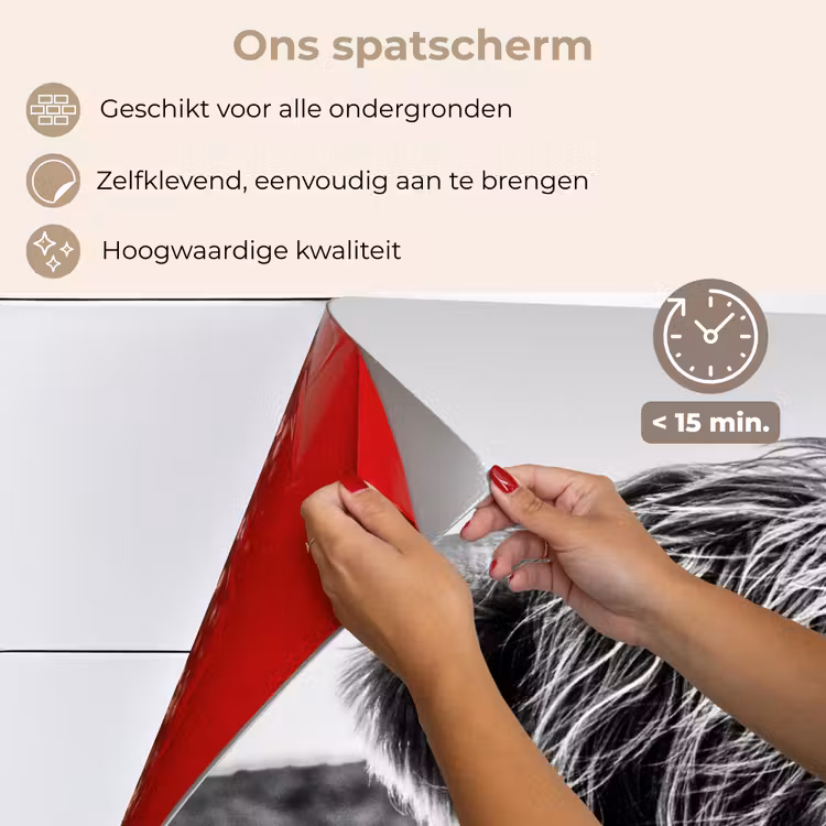 Schotse hooglander - Close up - Horens - Vacht - Zwart Wit keuken achterwand spatscherm klein -spatscherm_NL