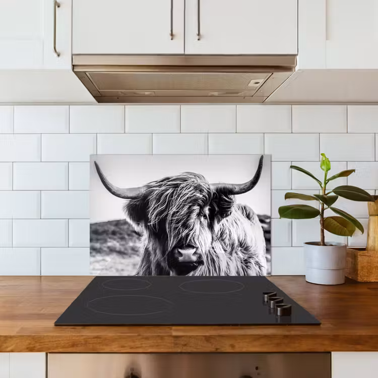 Schotse hooglander - Close up - Horens - Vacht - Zwart Wit keuken achterwand spatscherm klein -sfeer2