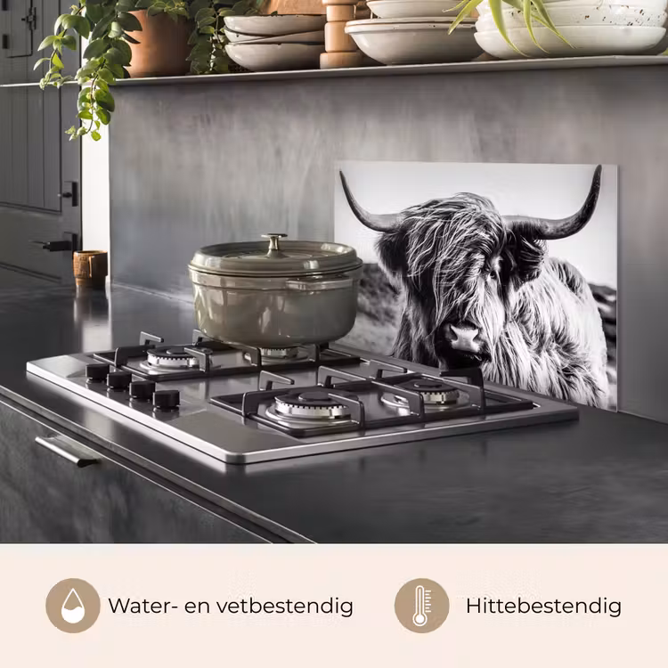Schotse hooglander - Close up - Horens - Vacht - Zwart Wit keuken achterwand spatscherm klein -usp_NL