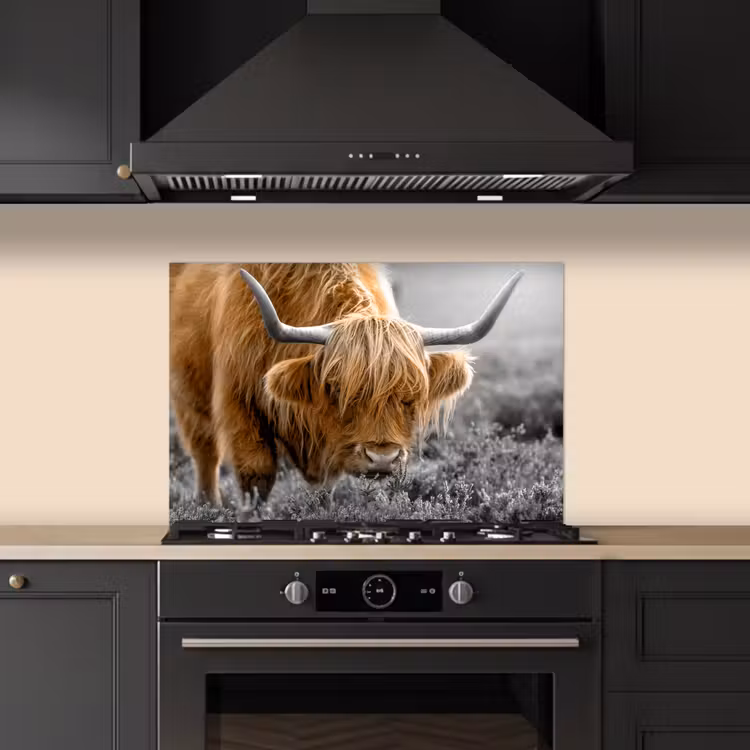 Schotse Hooglander - Dieren - Bruin - Koe - Zwart - Wit - Natuur keuken achterwand spatscherm klein -sfeer1