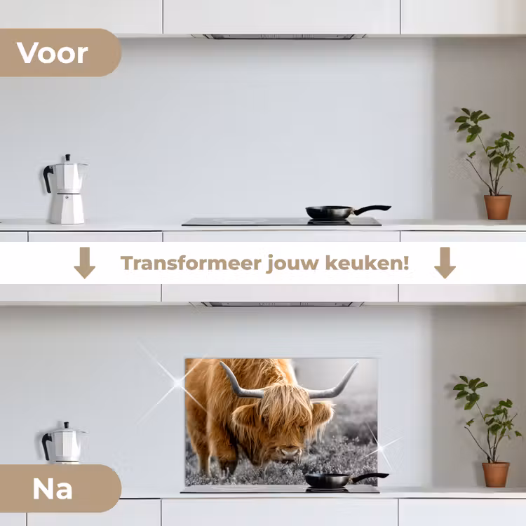 Schotse Hooglander - Dieren - Bruin - Koe - Zwart - Wit - Natuur keuken achterwand spatscherm klein -voor_na_NL