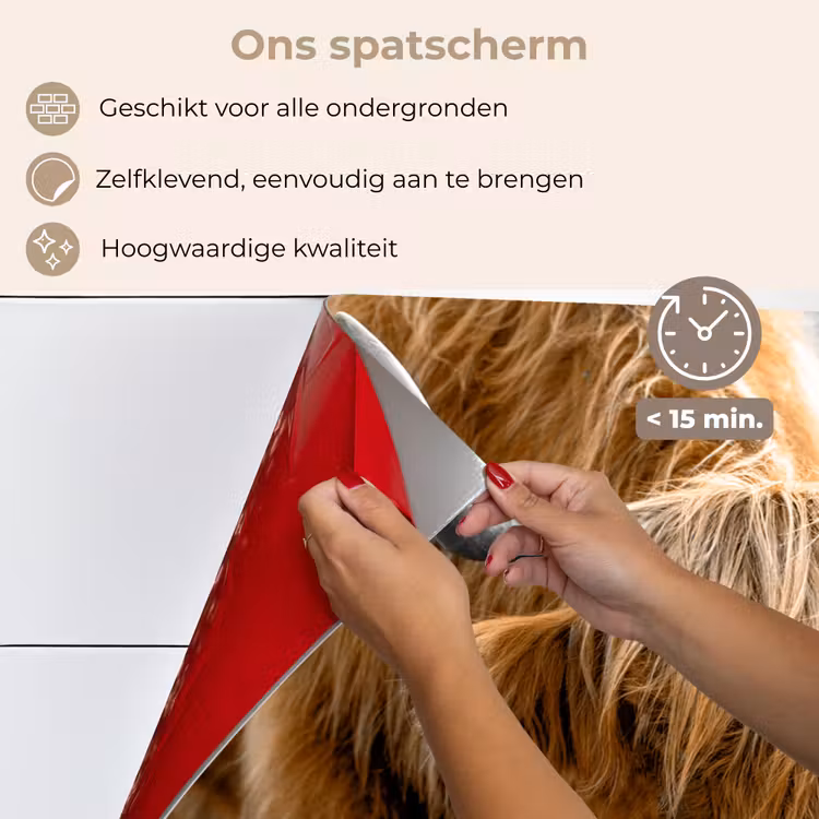 Schotse Hooglander - Dieren - Bruin - Koe - Zwart - Wit - Natuur keuken achterwand spatscherm klein -spatscherm_NL