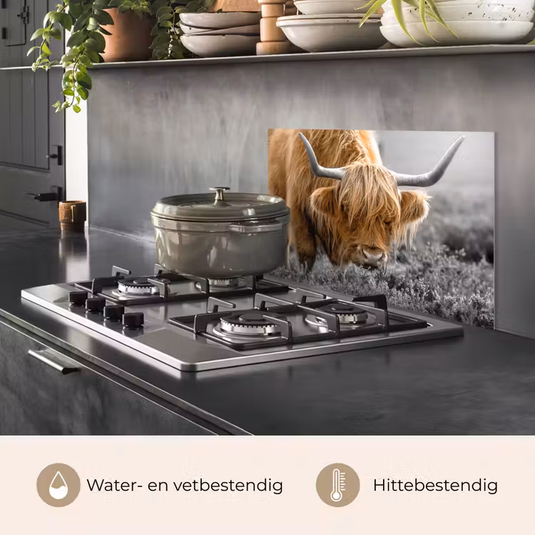 Schotse Hooglander - Dieren - Bruin - Koe - Zwart - Wit - Natuur keuken achterwand spatscherm klein -usp_NL