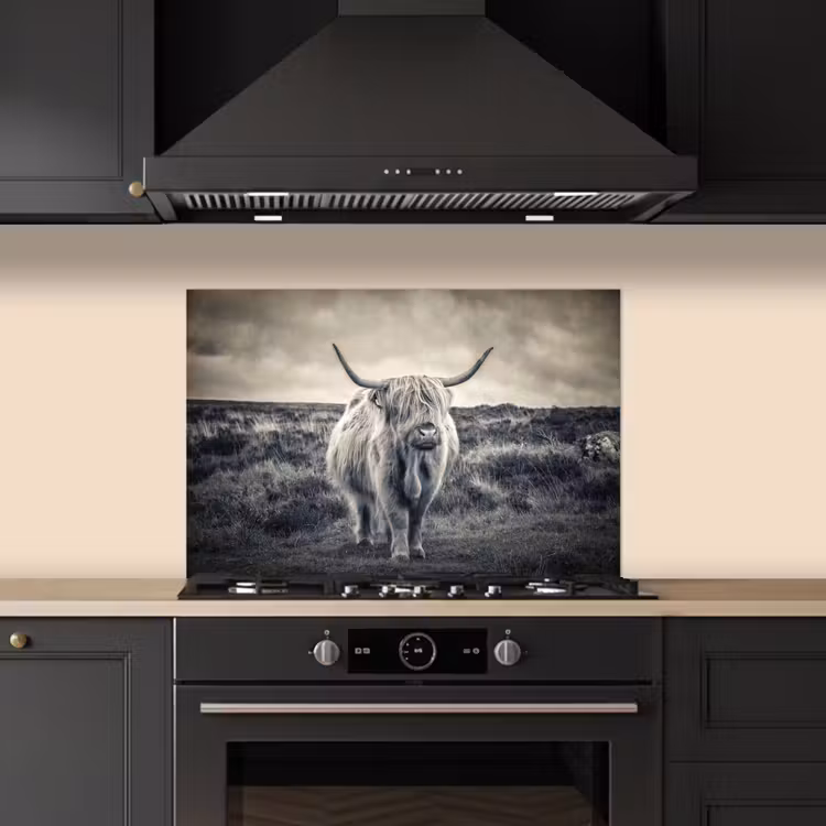 Schotse hooglander - Dieren - Wolken - Koe - Natuur keuken achterwand spatscherm klein -sfeer1