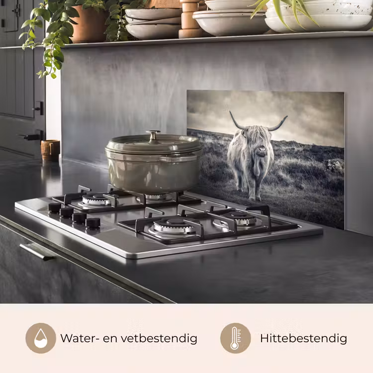 Schotse hooglander - Dieren - Wolken - Koe - Natuur keuken achterwand spatscherm klein -usp_NL