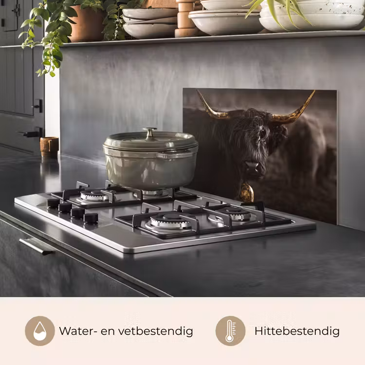 Schotse hooglander - Goud - Koebel - Hoorns - Dieren keuken achterwand spatscherm klein -usp_NL