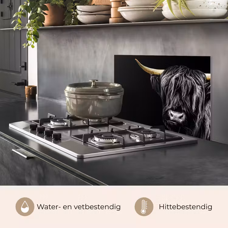 Schotse hooglander - Goud - Vacht - Dieren - Koe keuken achterwand spatscherm klein -usp_NL