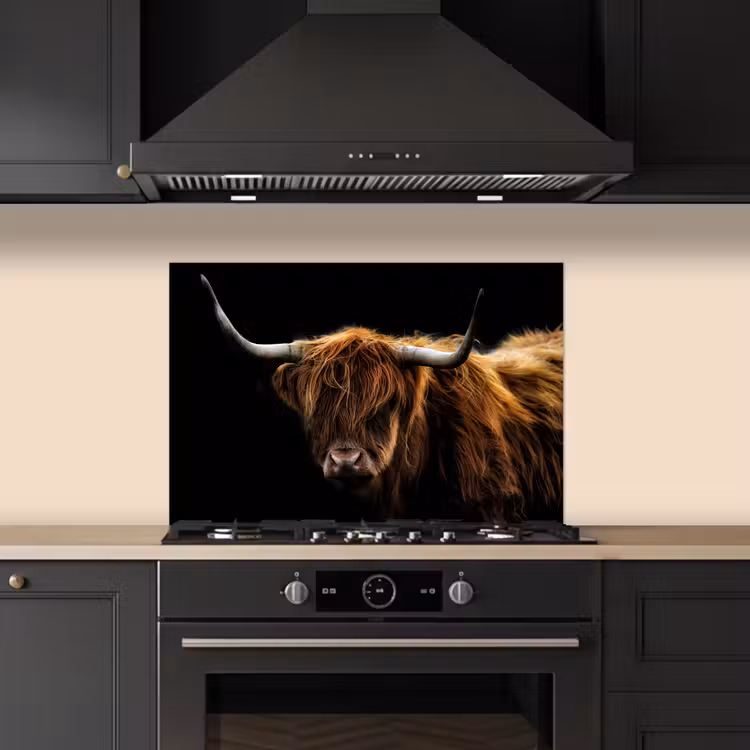 Schotse Hooglander - Horens - Zwart - Dieren - Natuur - Wild - Koe keuken achterwand spatscherm klein -sfeer1